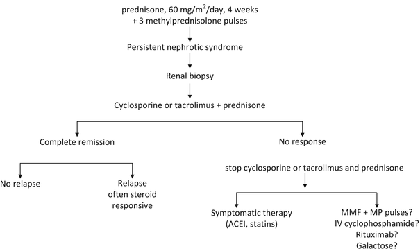 Arterial Stiffness and Cardiac Functions in Children with Idiopathic Nephrotic Syndrome